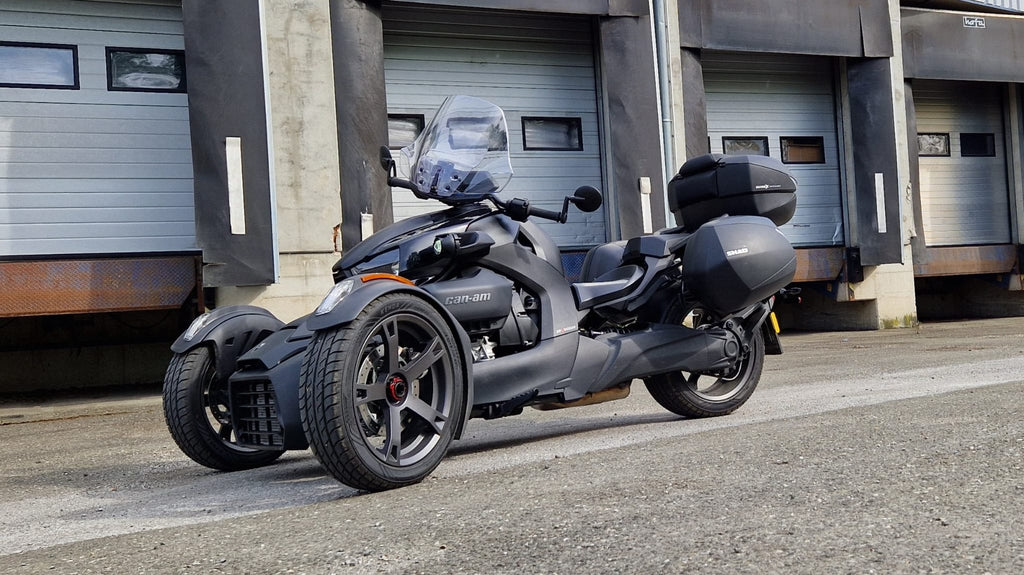 CARLA (B-Ware/Stock)