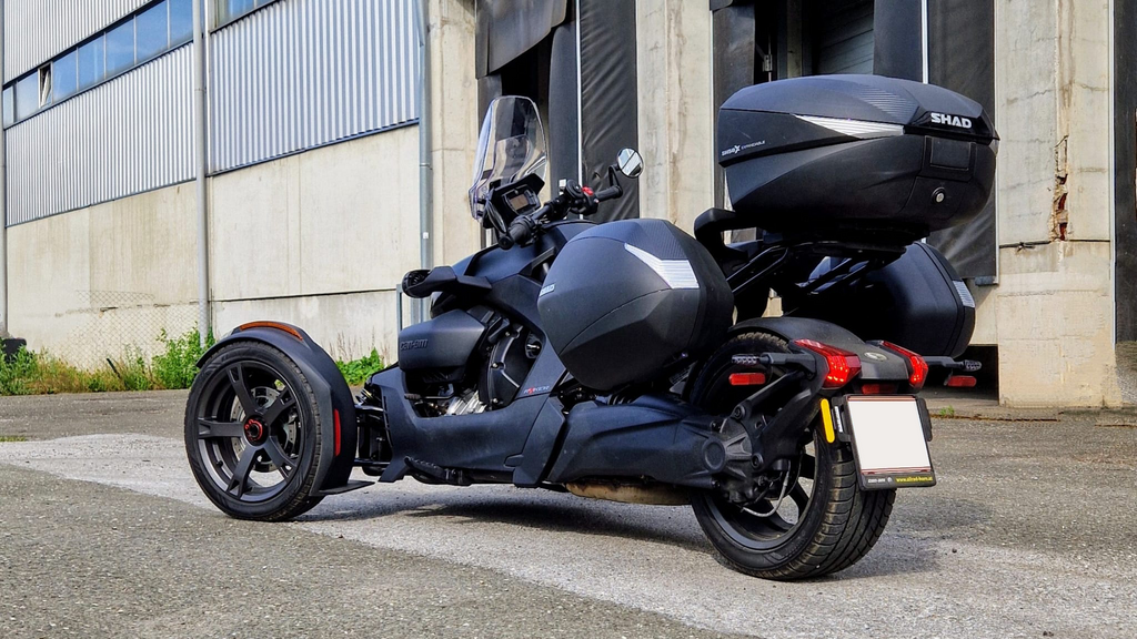 CARLA (B-Ware/Stock)